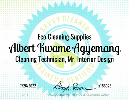 Albert Agyemang Eco Cleaning Supplies Savvy Cleaner Training