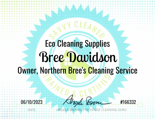 Bree Davidson Eco Cleaning Supplies Savvy Cleaner Training