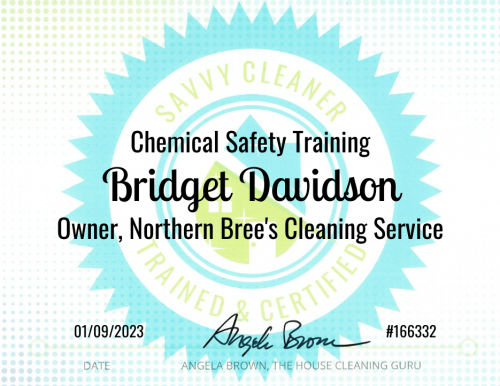 Bridget Davidson Chemical Safety Training Savvy Cleaner Training
