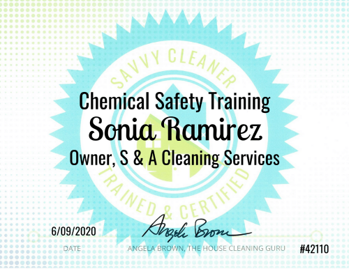 Chemical Safety Training Savvy Cleaner Training Sonia Ramirez