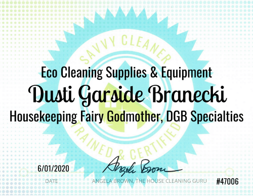 Eco Cleaning Supplies Savvy Cleaner Training Dusti Garside Branecki