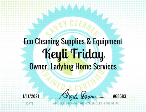Eco Cleaning Supplies Savvy Cleaner Training Keyli Friday