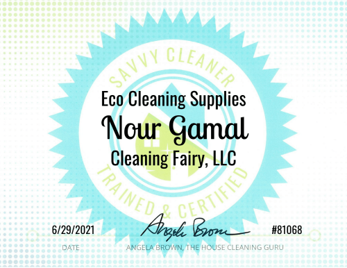 Eco Cleaning Supplies Savvy Cleaner Training Nour Gamal