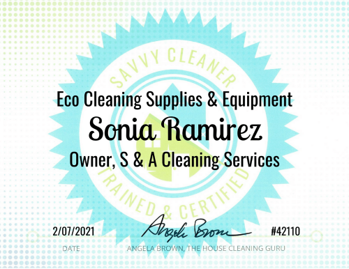 Eco Cleaning Supplies Savvy Cleaner Training Sonia Ramirez