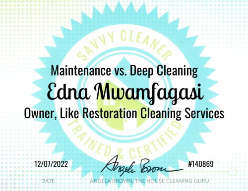 Edna Mwamfagasi Maintenance vs. Deep Cleaning Savvy Cleaner Training