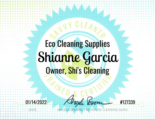 Shianne Garcia Eco Cleaning Supplies Savvy Cleaner Training 1000x772
