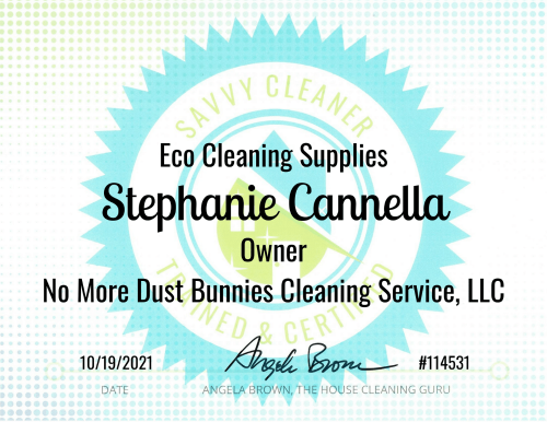 Stephanie Cannella Eco Cleaning Supplies Savvy Cleaner Training