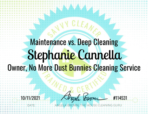Stephanie Cannella Maintenance vs. Deep Cleaning Savvy Cleaner Training