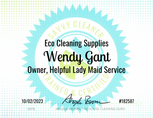 Wendy Gant Eco Cleaning Supplies Savvy Cleaner Training